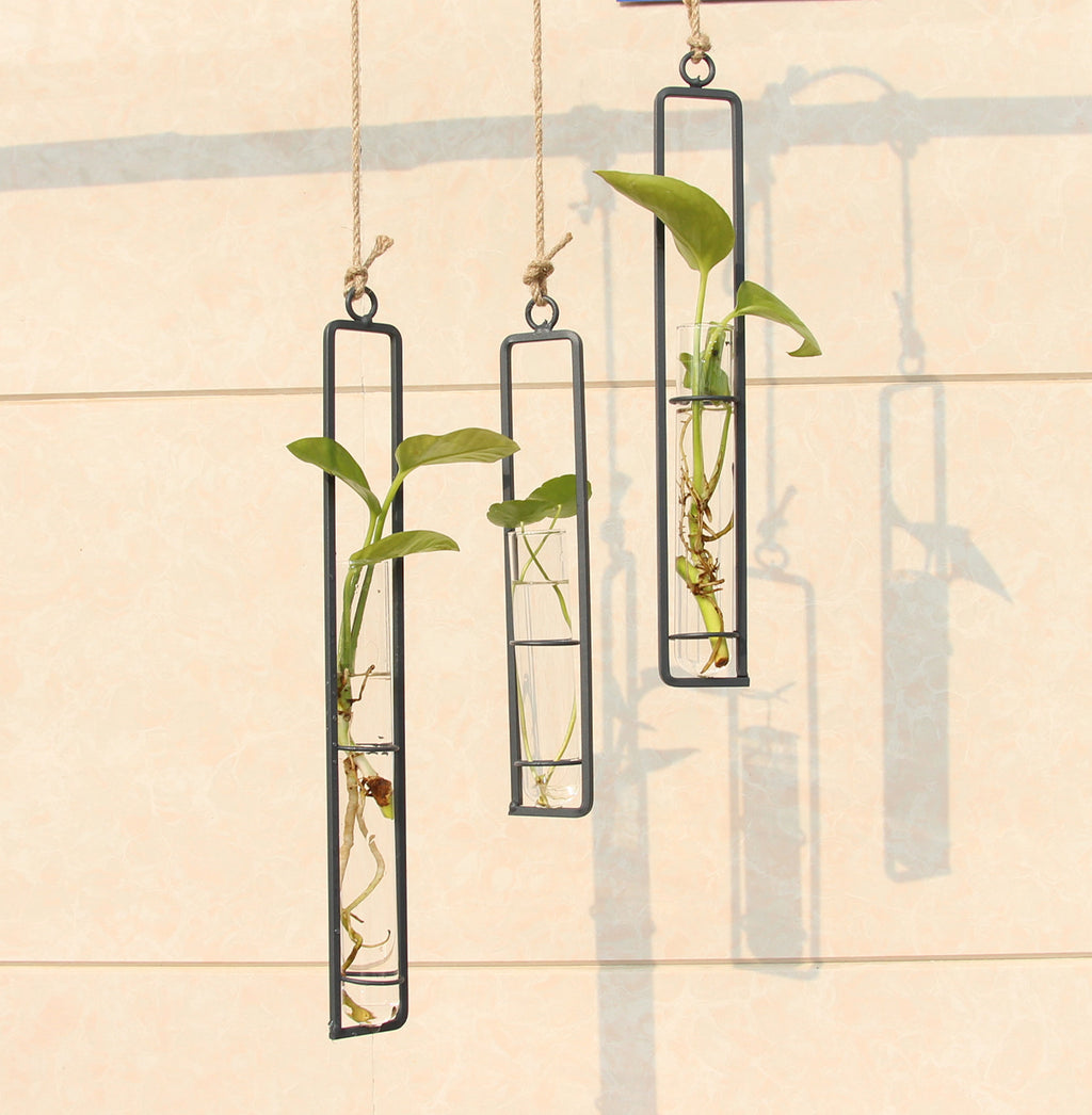 Wrought Iron Hanging Glass Vase