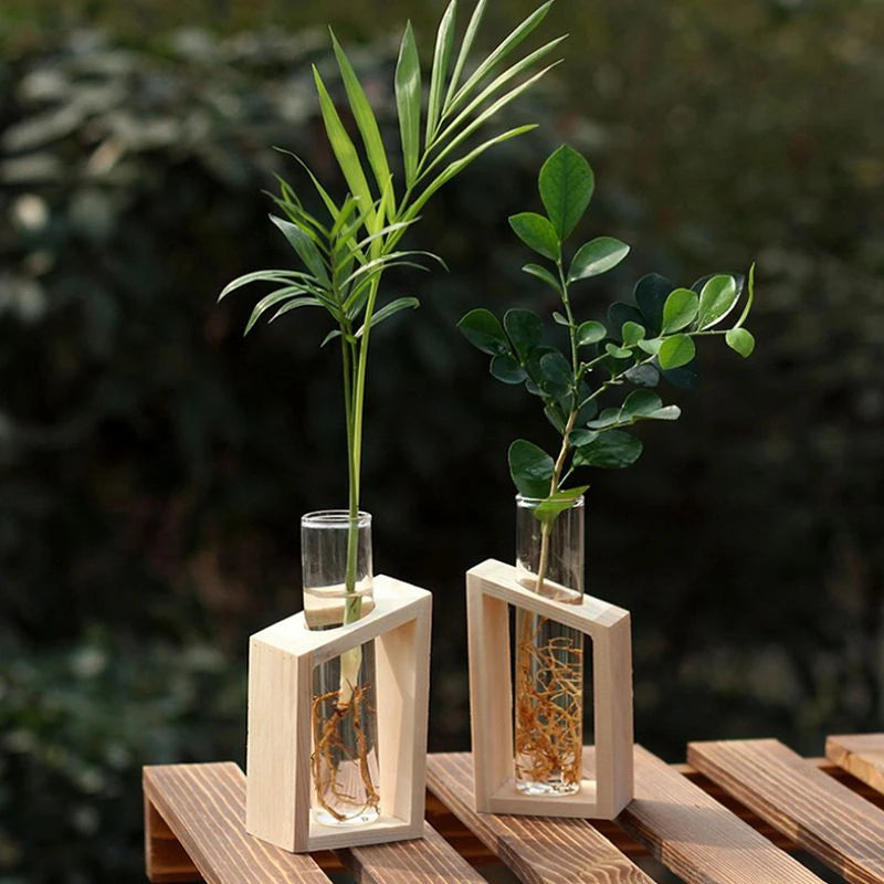 Test Tube Glass Vase in Wooden Stand