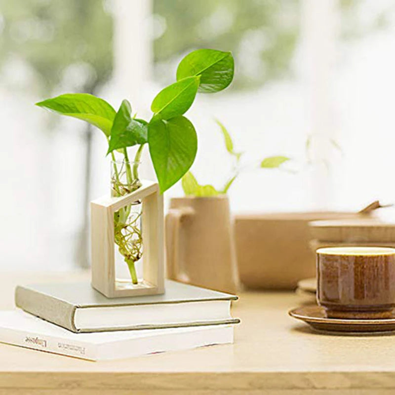 Test Tube Glass Vase in Wooden Stand