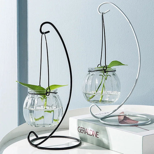 Hanging Glass Vase